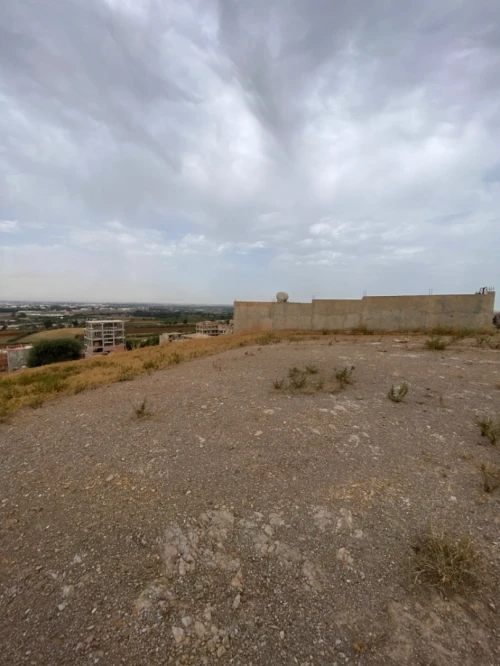 Vente Terrain Boumerdes Larbatache