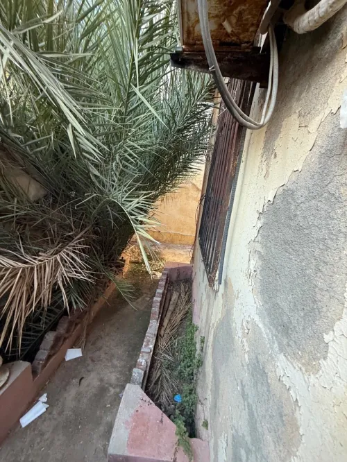 Vente Terrain Alger Bordj el kiffan