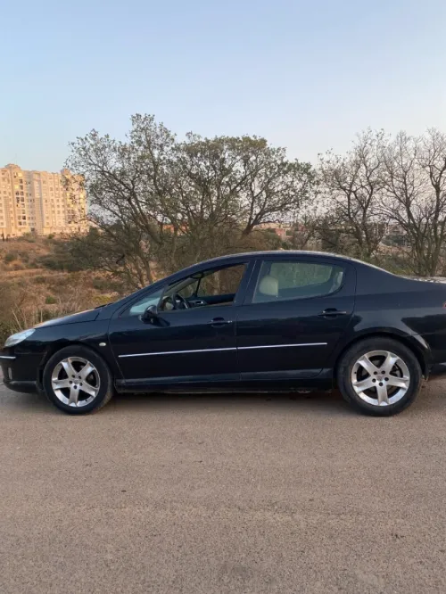 Peugeot 407 2004 407