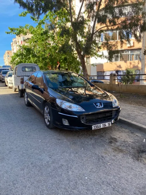 Peugeot 407 2004 407