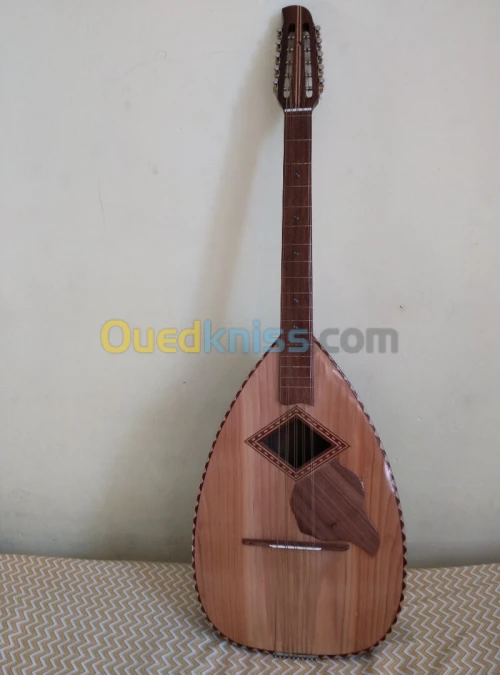 Mandole professionnel 10 cordes 