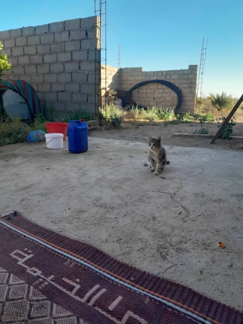 Vente Terrain Agricole Béchar Bechar