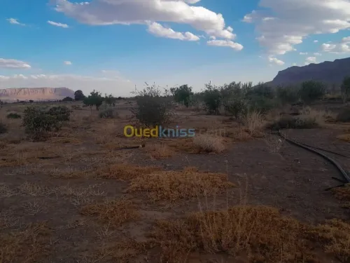 Vente Terrain Béchar Bechar