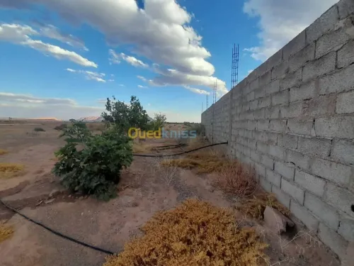 Vente Terrain Béchar Bechar