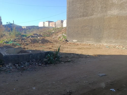Vente Terrain Alger Bordj el kiffan