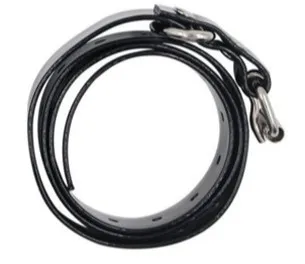 Collier électrique dressage chien 