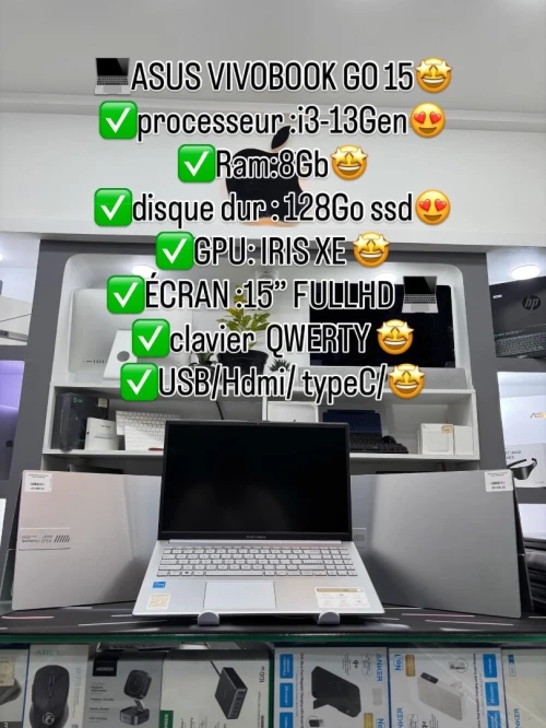 ASUS VIVOBOOK GO 15