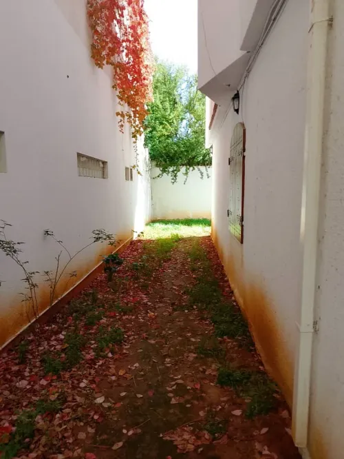 Location Villa Alger Dely brahim