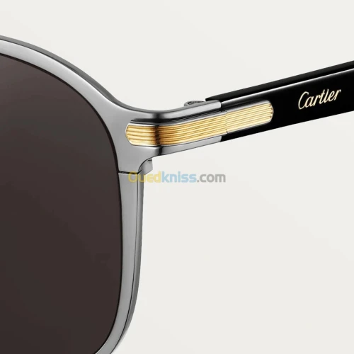 Lunettes Cartier Ct0012s 004