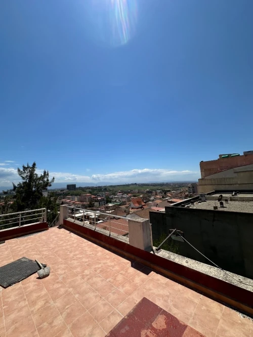 Location Local Alger Dely brahim