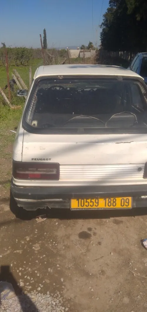 Peugeot 309 1988 309