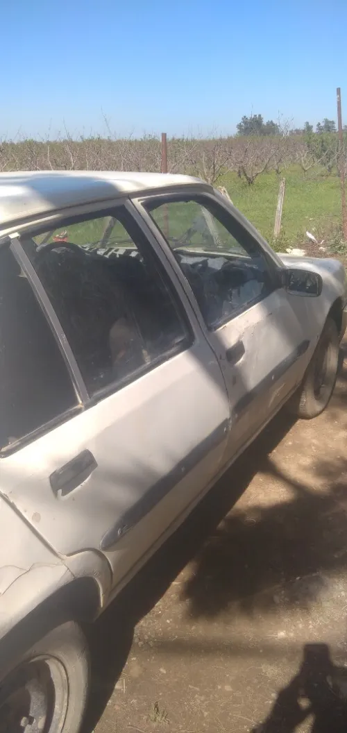 Peugeot 309 1988 309