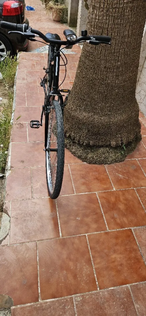 Vélo Riverside RS 100 français