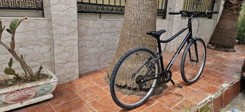 Vélo Riverside RS 100 français