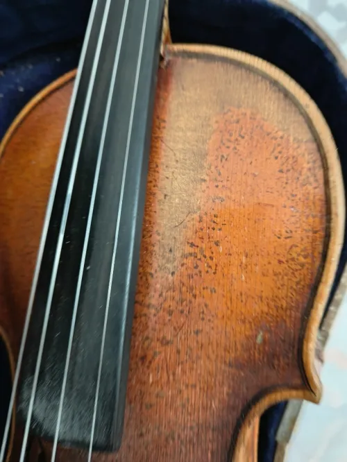 Violon authentique Français 