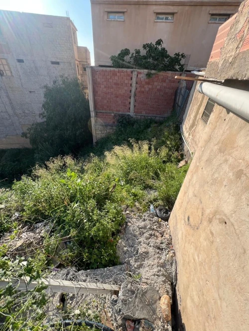 Location Appartement F2 Blida Blida