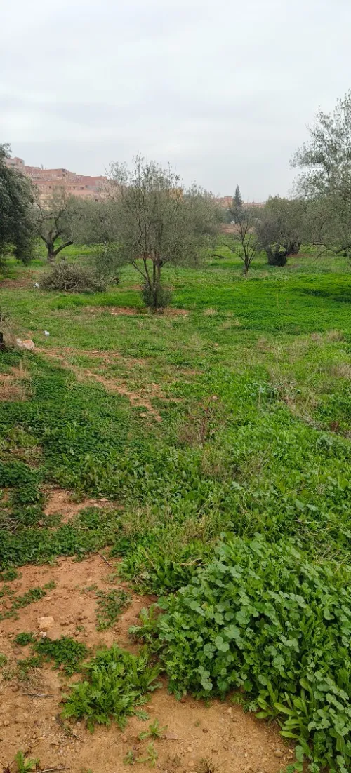 Vente Terrain Béjaïa Tazmaltdaira