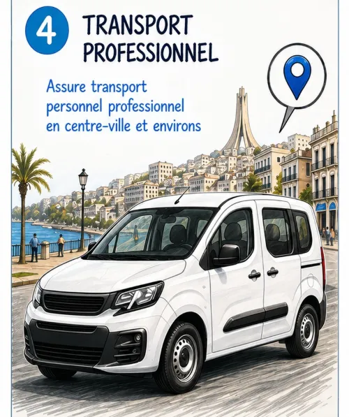Transport professionnel