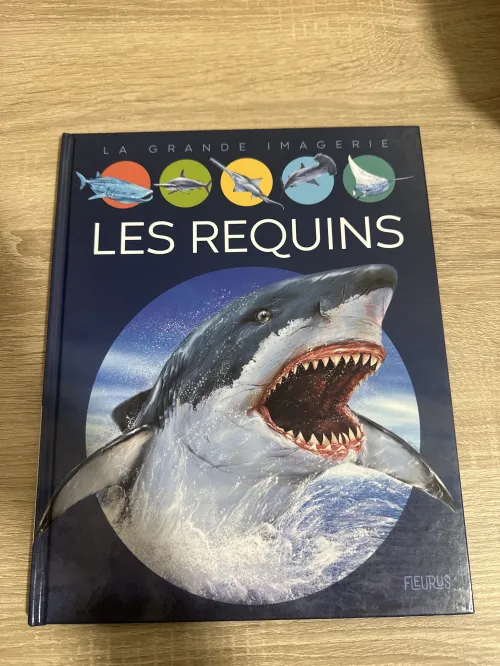 Livre éducatif sur les requins - la grande imagerie
