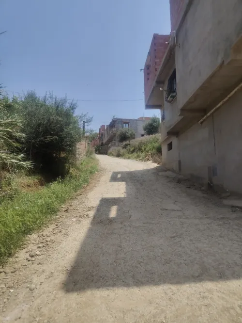 Vente Terrain Boumerdès Boudouaou