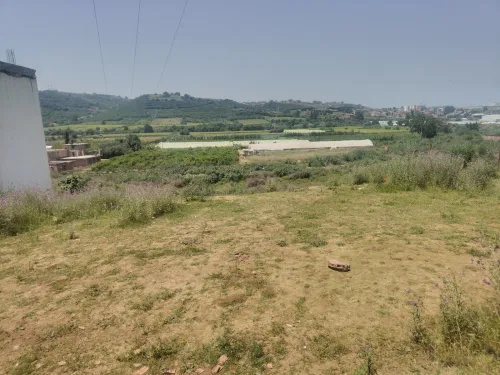 Vente Terrain Boumerdès Boudouaou