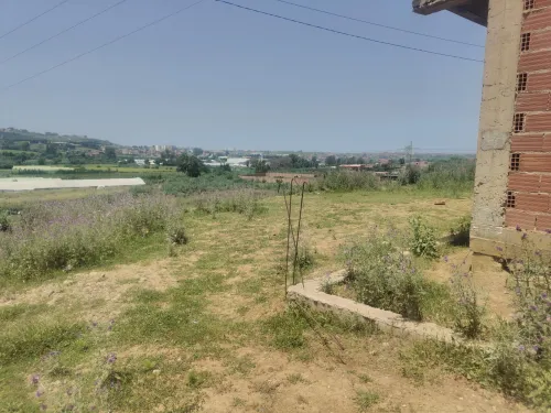Vente Terrain Boumerdès Boudouaou