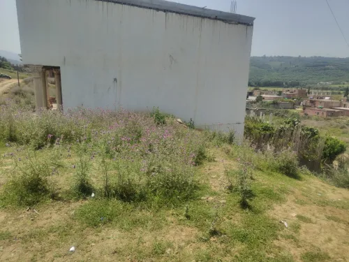 Vente Terrain Boumerdès Boudouaou