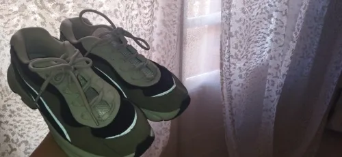 Puma cell