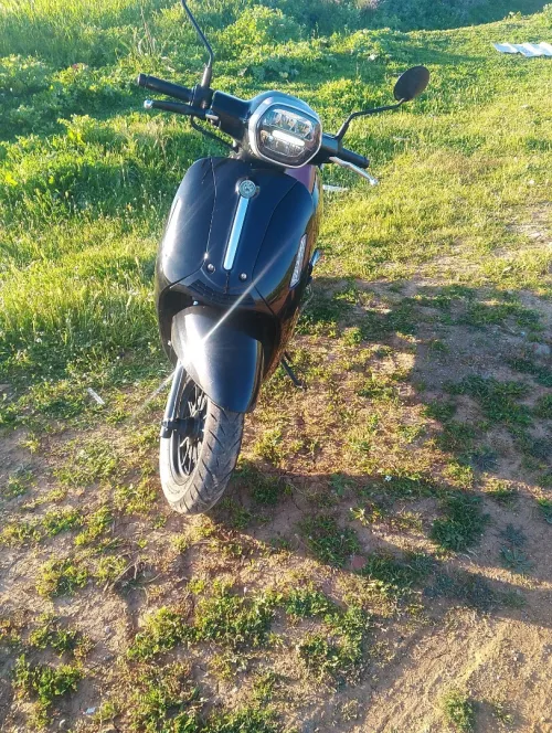 Vms Panaria 2025