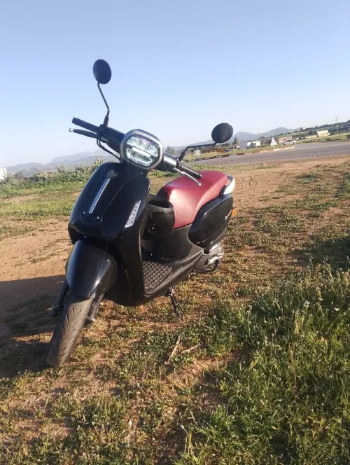 Vms Panaria 2025