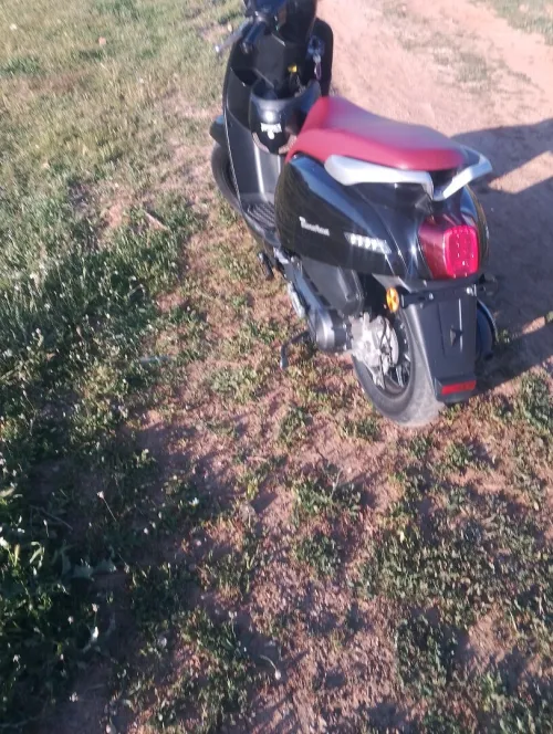 Vms Panaria 2025