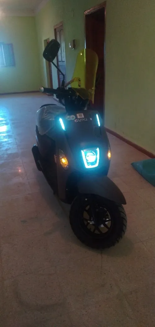 Vms Cuxi 2 2025