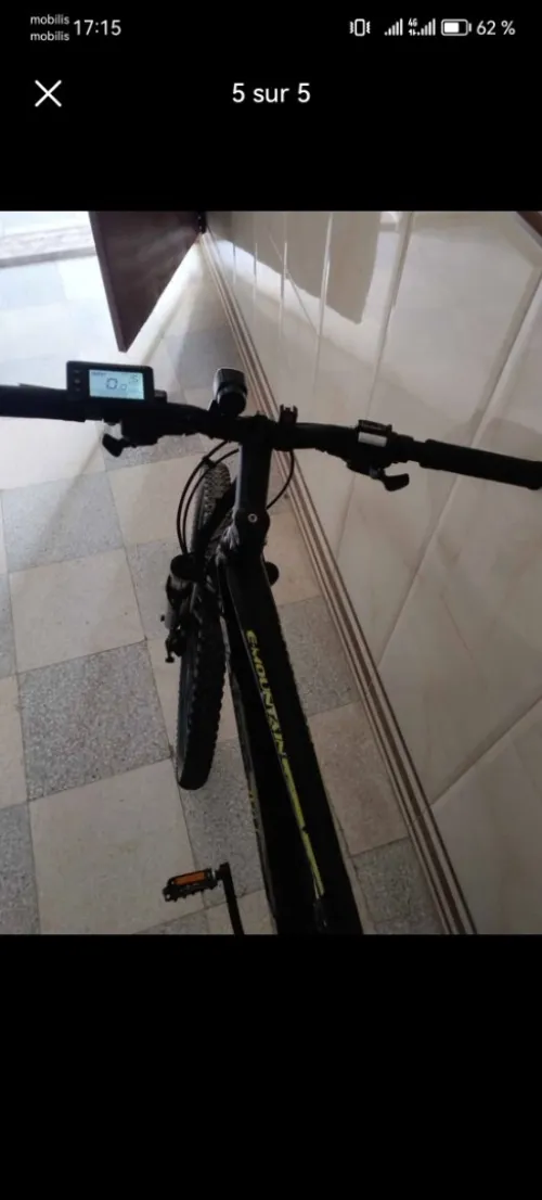Vélo électrique européen woodsun