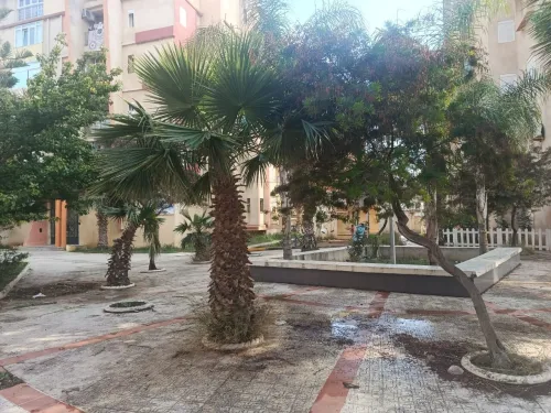 Location Appartement F3 Boumerdès Corso