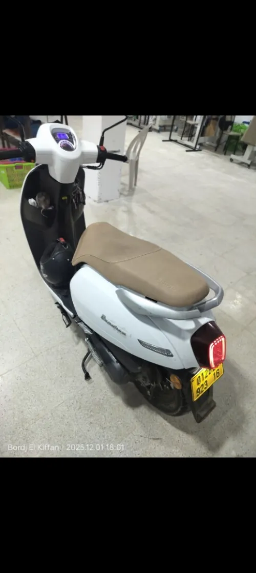 Benelli Panaria 2023
