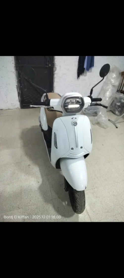 Benelli Panaria 2023