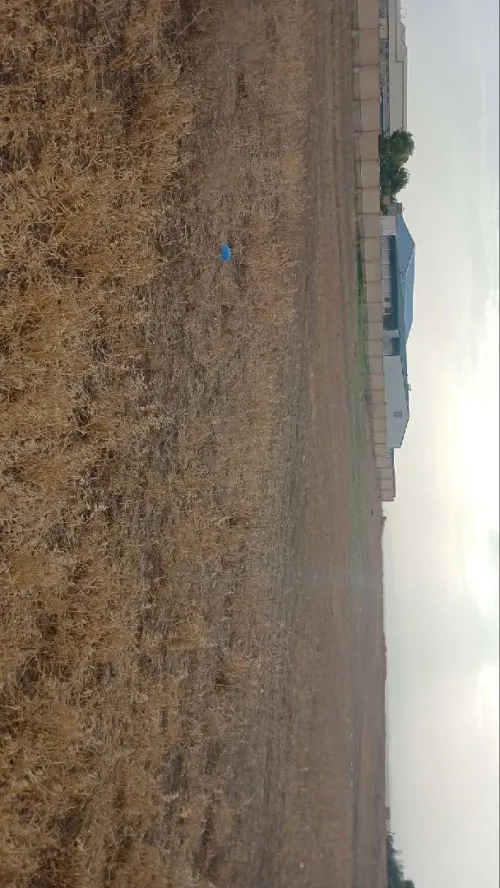 Vente Terrain Oran El Kerma