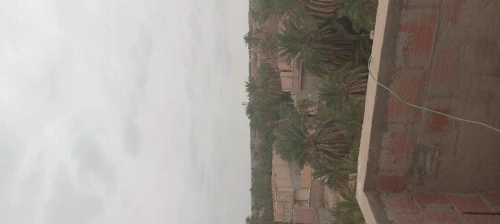 Vente Appartement Niveau de villa Studio Biskra Biskra