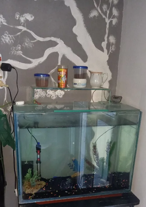 2 aquariums