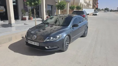 Volkswagen Passat CC 2013 Passat CC