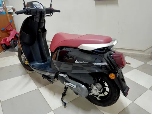 Benelli Panaria 2023