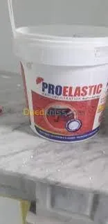 Peintre Etanche Terrasse -Annaba-