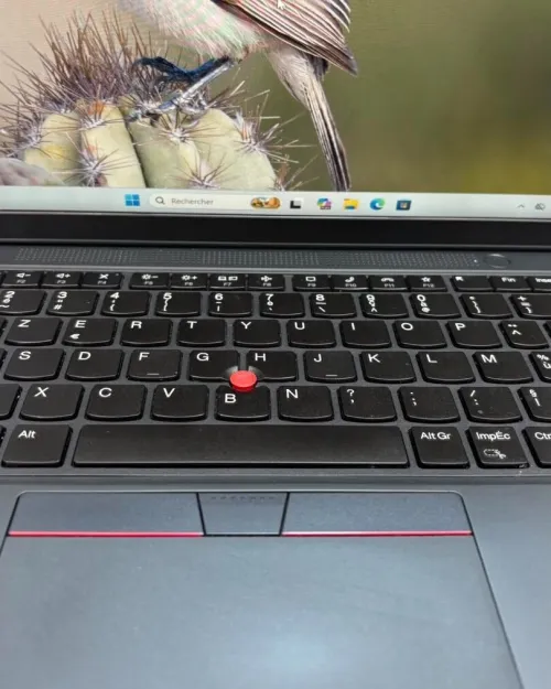 LENOVO THINKPAD L14 RYZEN 5 PRO 7535U 2.90GHz UP TO 4.55GHz 16GB DDR5 256GB SSD NVME AMD RADEON GRAPHICS 660M ECRAN 14 INCH FHD PLUS