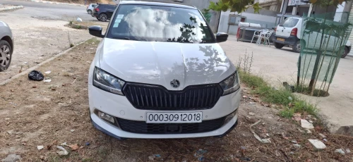 Skoda Fabia 2020 Monte Carlo