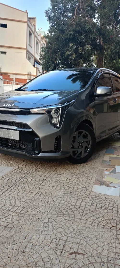 Kia Picanto morning 2024 