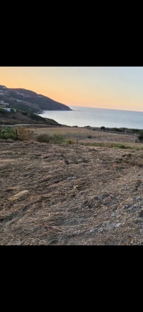 Vente Terrain Tizi Ouzou Azeffoun