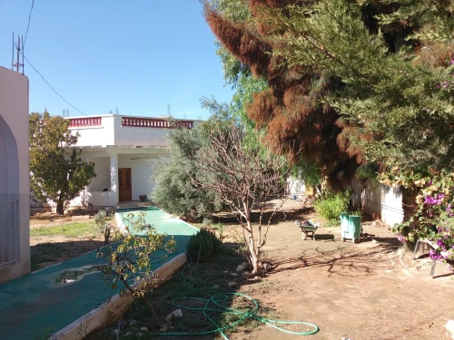 Vente Villa Niveau de villa F6 Tébessa Tebessa