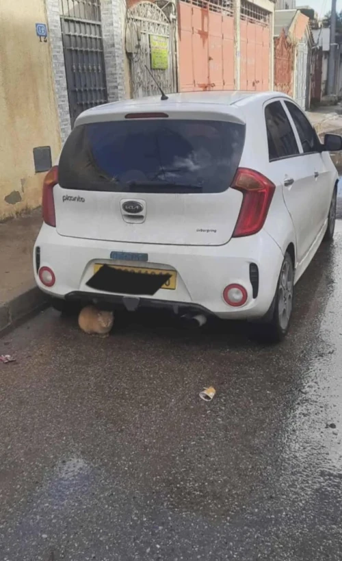 Kia Picanto 2016 Sportline