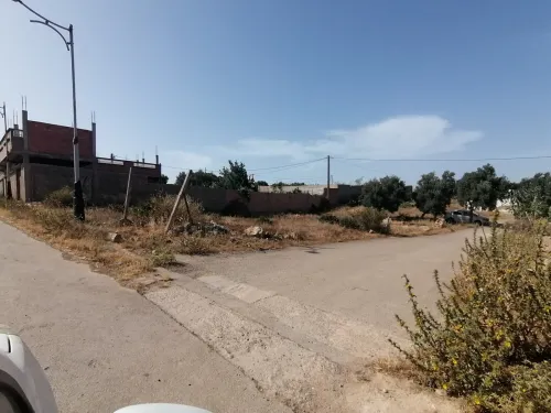 Vente Terrain Oran Bethioua