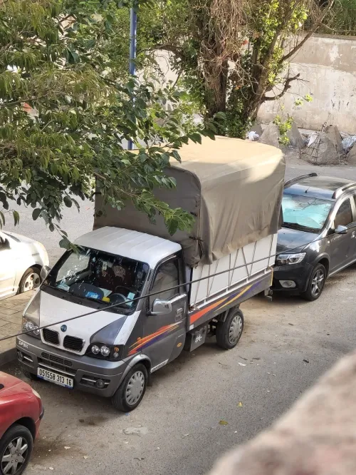 DFSK Mini Conteneur 2013 2m50